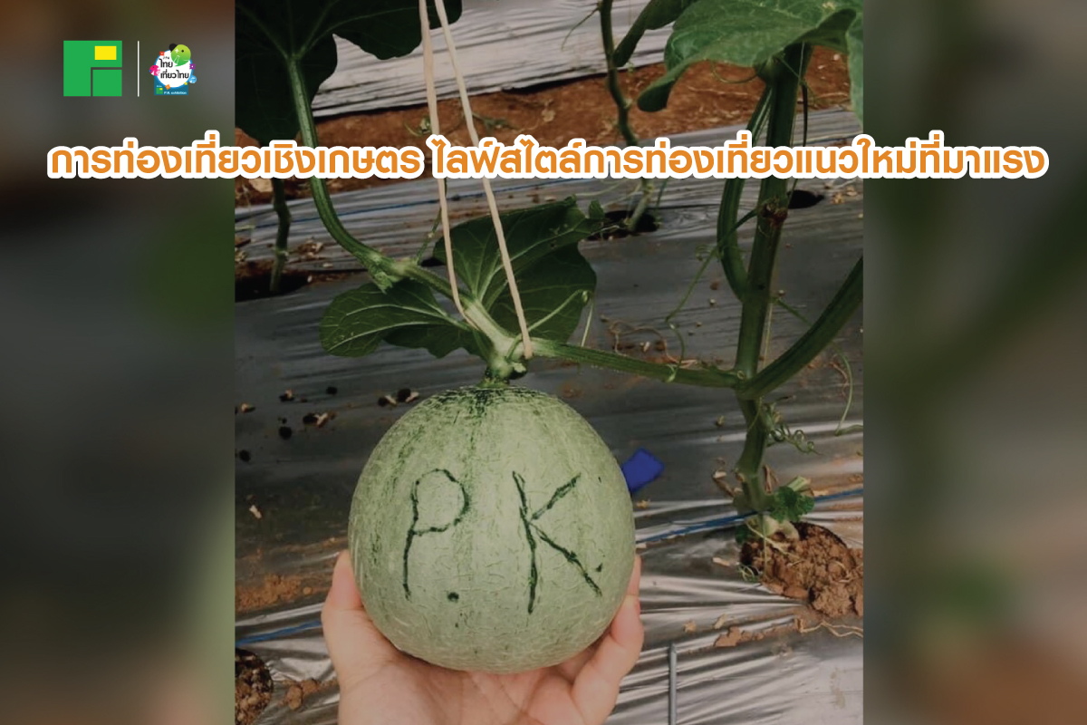 การท่องเที่ยวเชิงเกษตร ไลฟ์สไตล์การท่องเที่ยวแนวใหม่ที่มาแรง